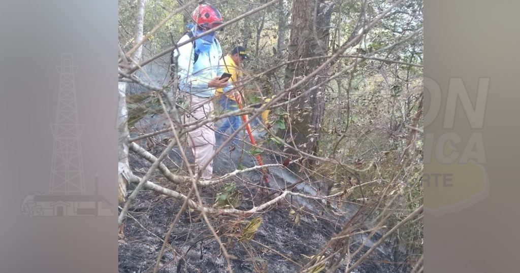 Incendio forestal en el cerro de Xaltepec