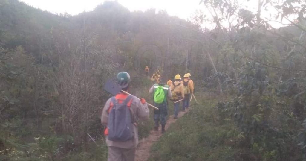 Incendio forestal en el cerro de Xaltepec