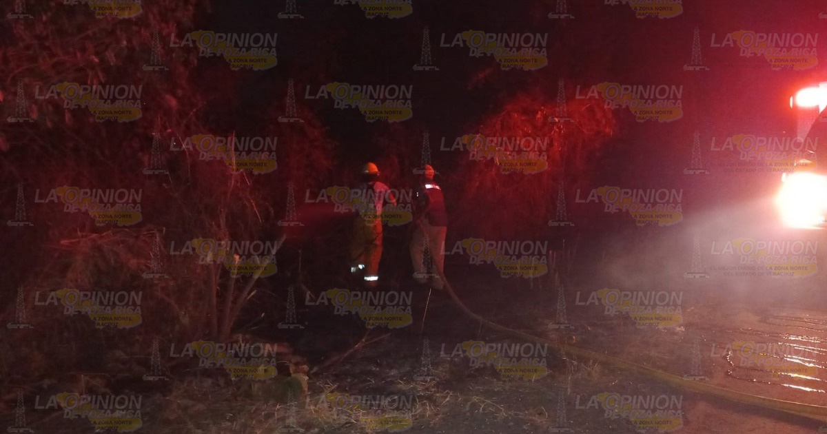 Incendios azotan el municipio de Álamo