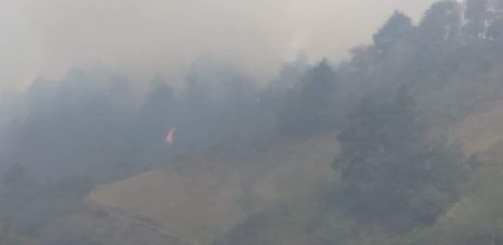 Incrementan incendios forestales en la zona norte