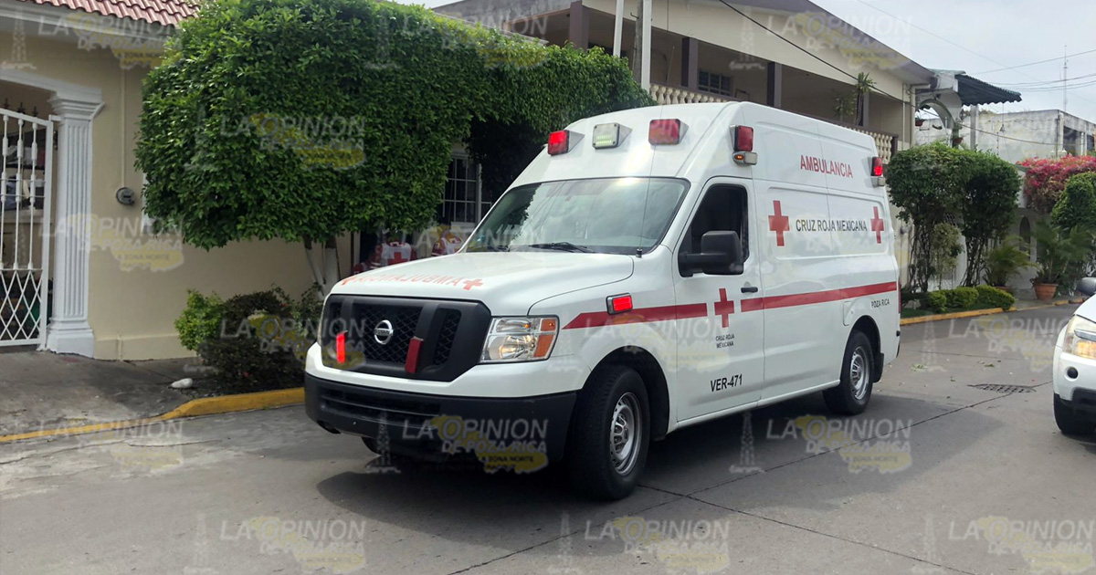 Jardinero se lesionó podando árboles