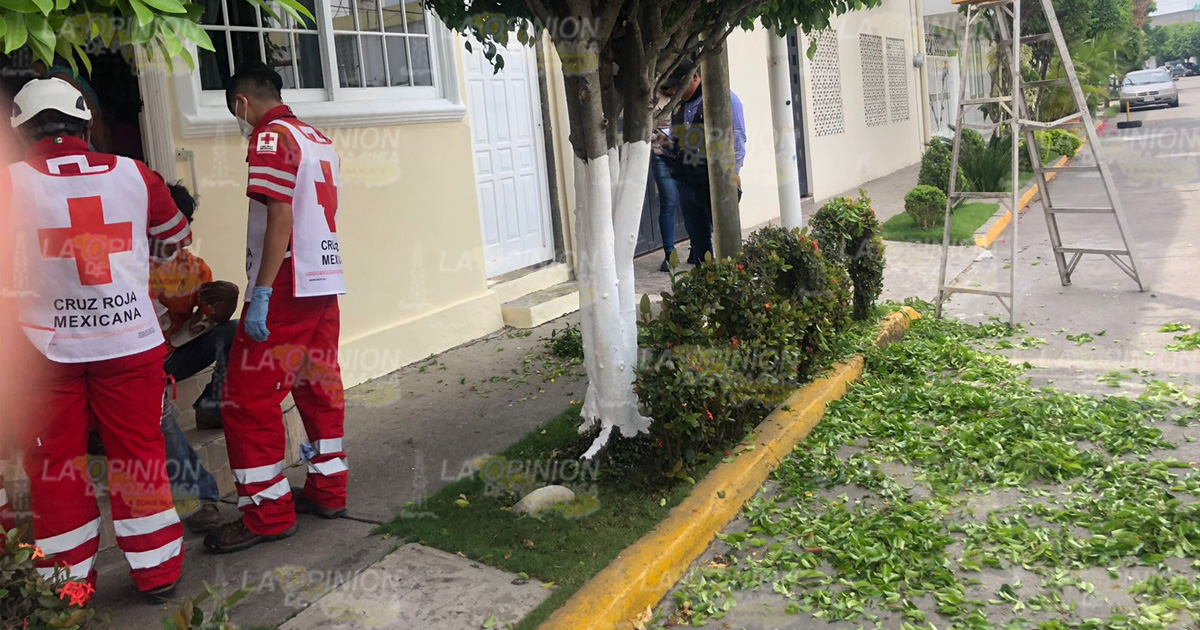 Jardinero se lesionó podando árboles