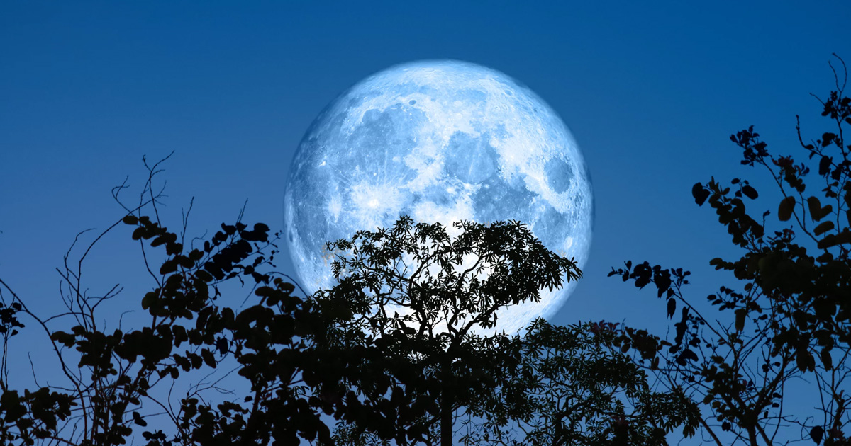 ¿Qué es la Luna de Gusano y cuándo verla en marzo 2022?