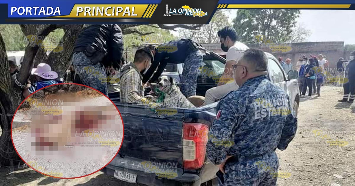 Perros atacan y matan a mujer