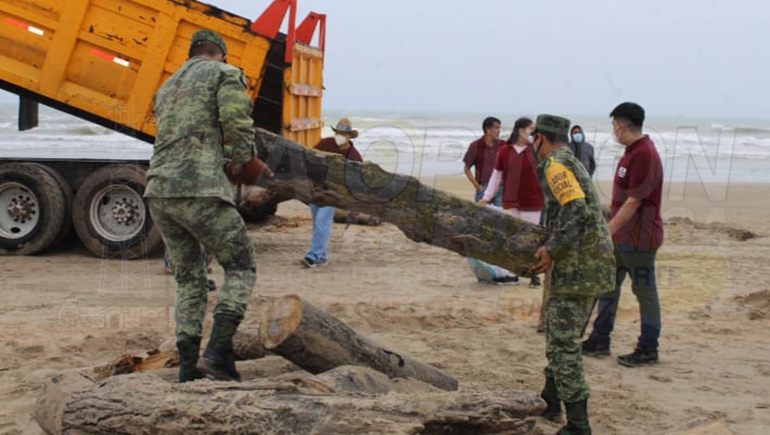 Sacan de la playa de Tuxpan toneladas de palizada