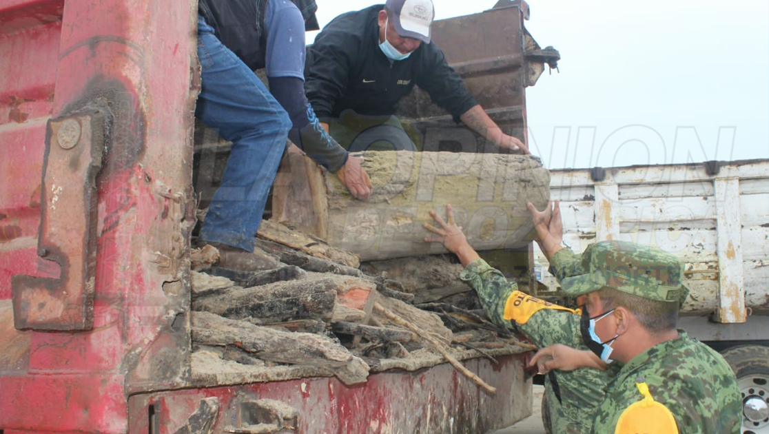 Sacan de la playa de Tuxpan toneladas de palizada