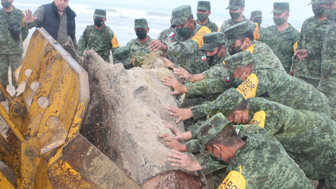 Sacan de la playa de Tuxpan toneladas de palizada