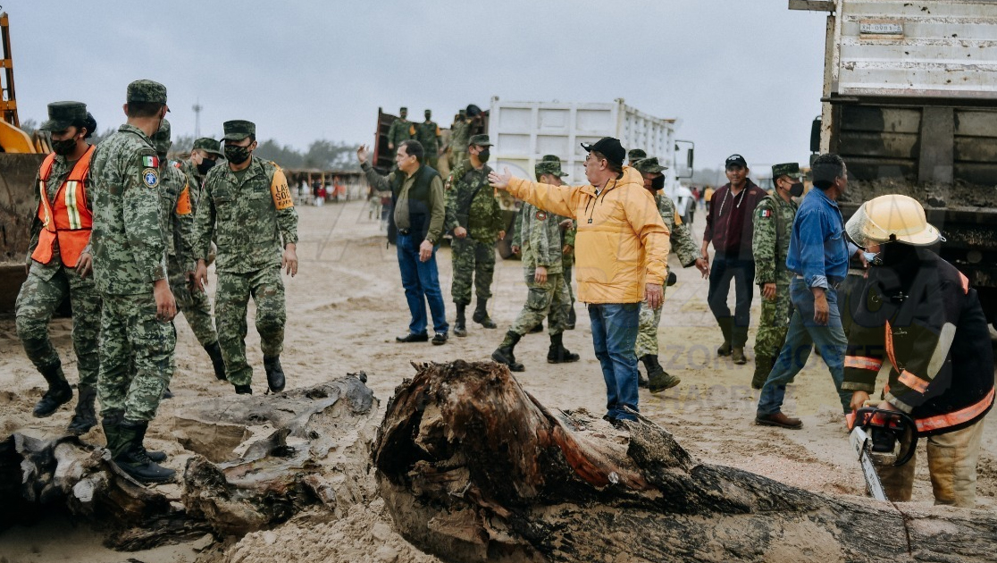 Sacan de la playa de Tuxpan toneladas de palizada
