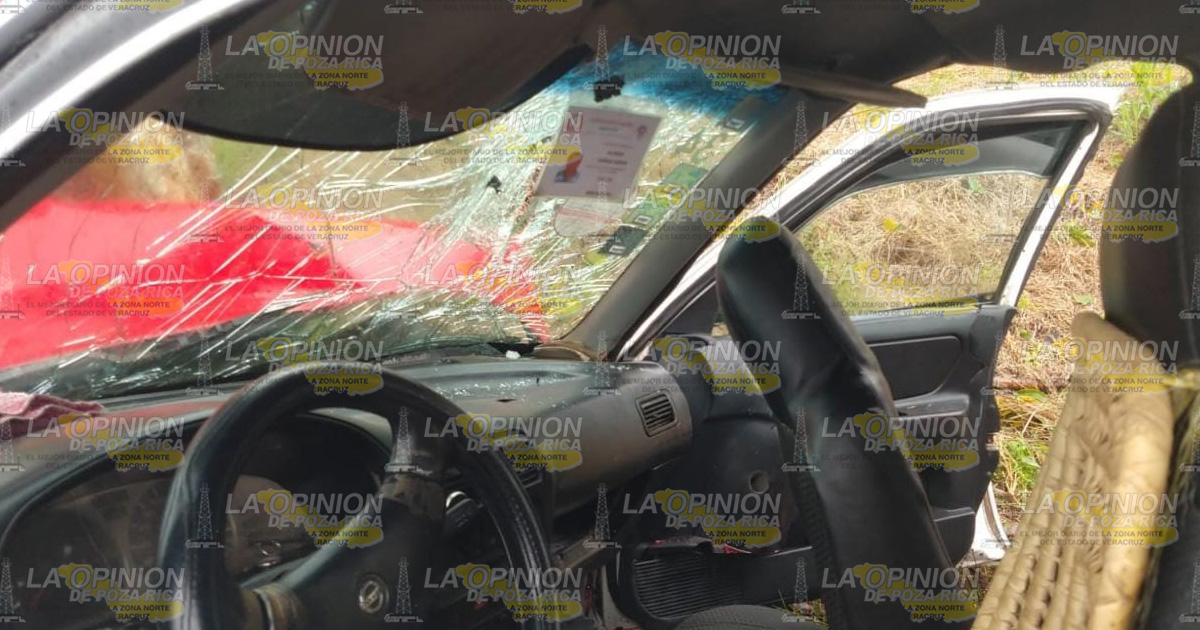 Taxis se estampa contra un árbol; dos mujeres heridas