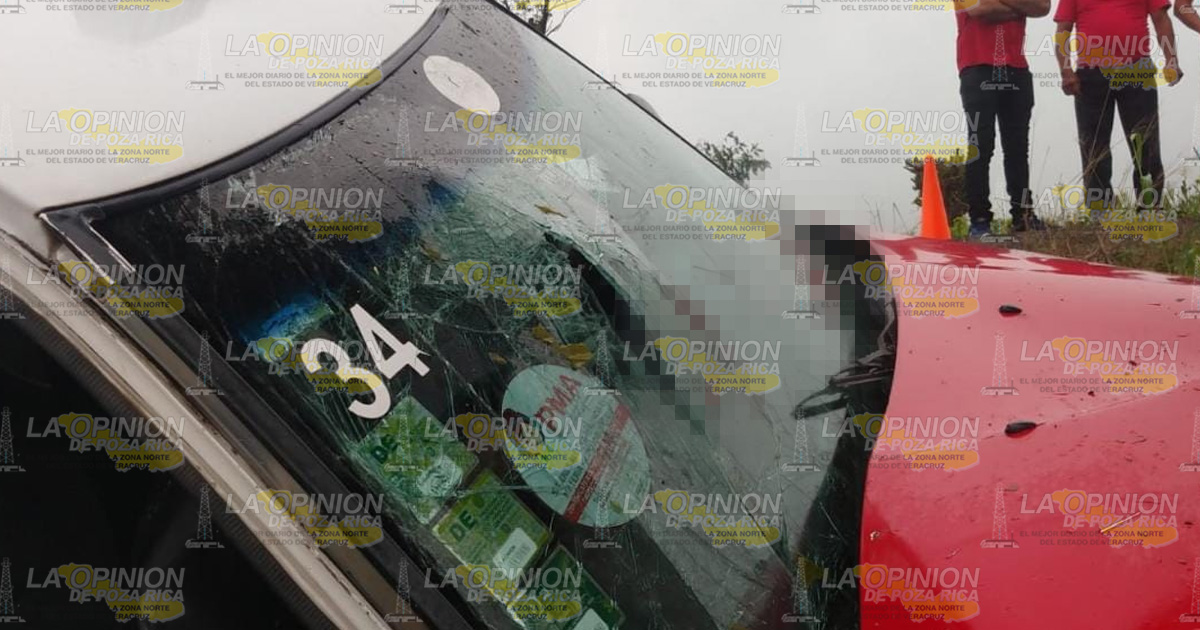 Taxis se estampa contra un árbol; dos mujeres heridas