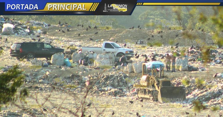 Tiran feto a la basura