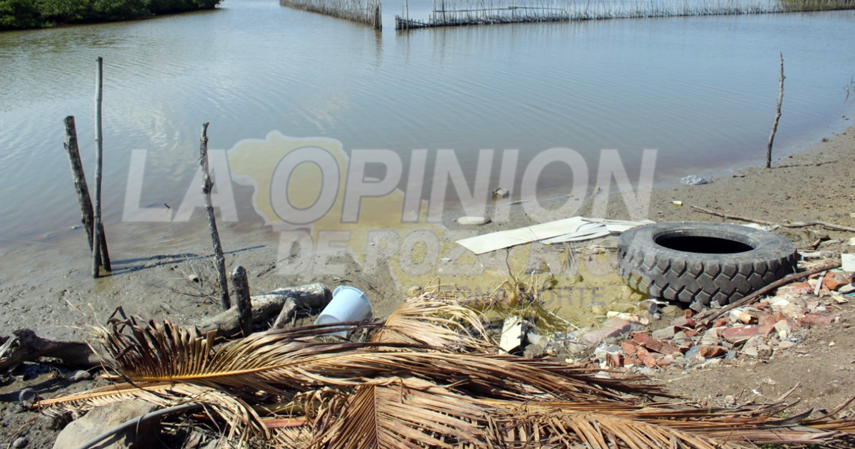 Urgen más acciones de protección ambiental