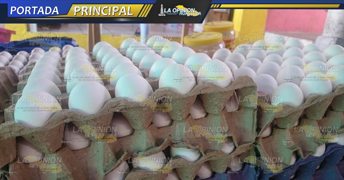 ¡Aumenta el precio del huevo! ¡Aumenta el precio del huevo!