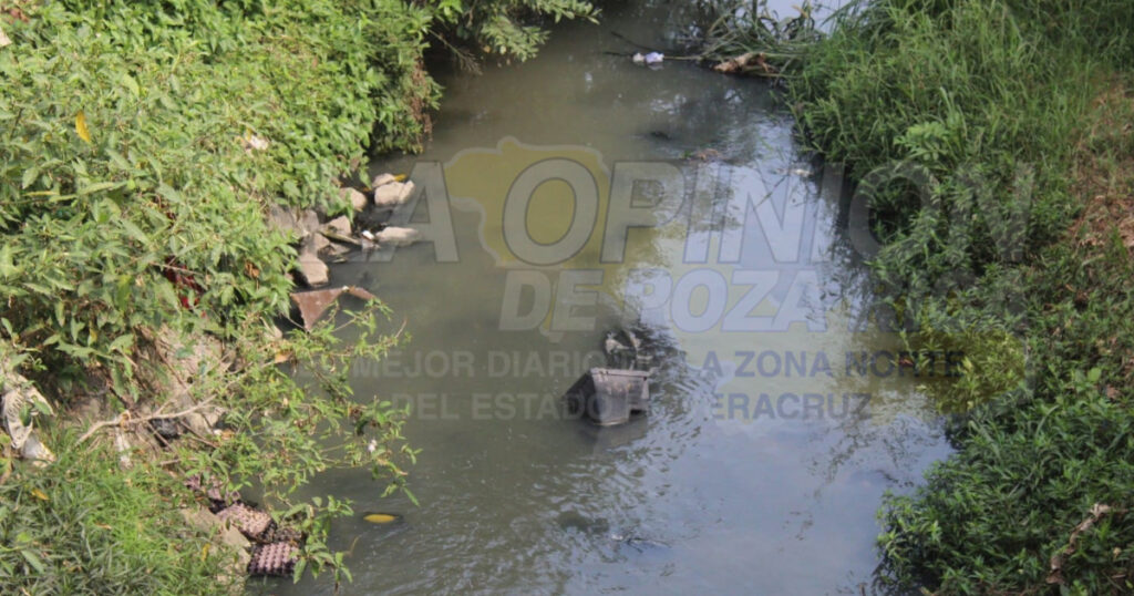 Azolvados la mayoría de los arroyos que cruzan Poza Rica