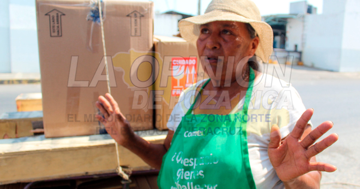 Doña Nico, ejemplo de que nada es imposible ni difícil; es cuestión de voluntad