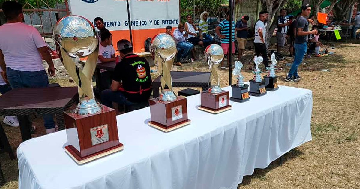 El futbol está de vuelta en Venustiano Carranza
