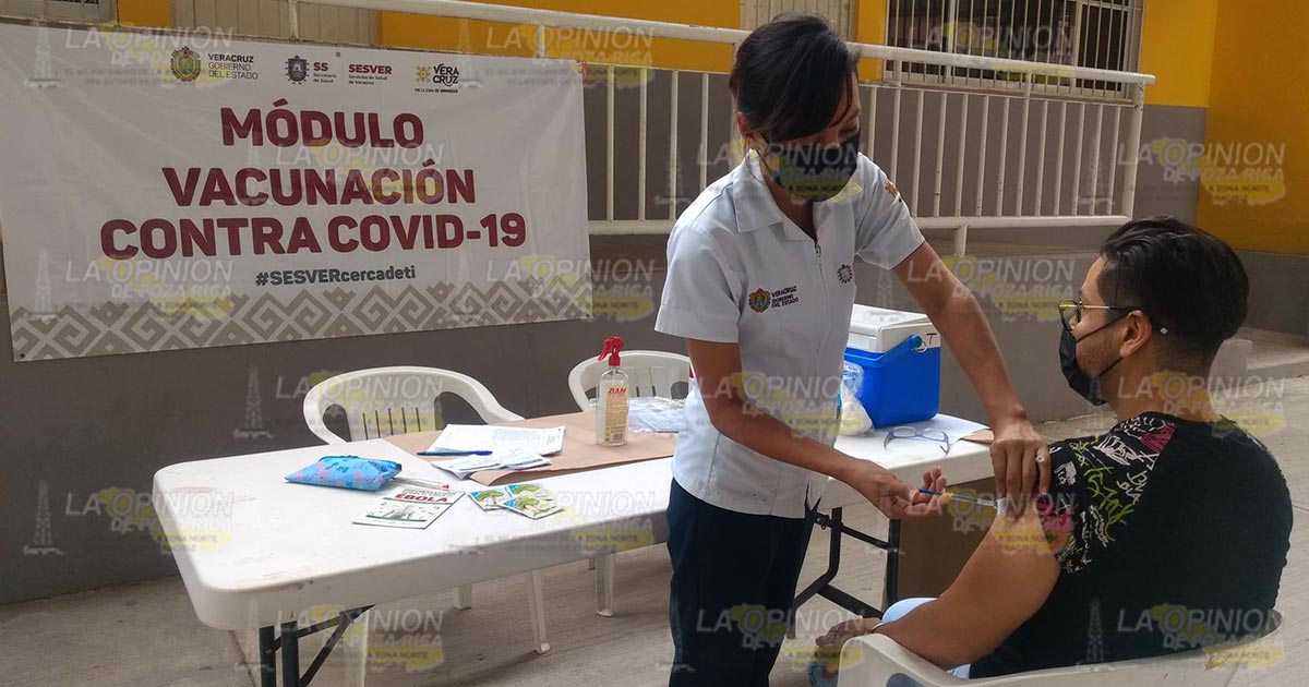 Llama SS a aplicarse vacuna anti-COVID Llama SS a aplicarse vacuna anti-COVID