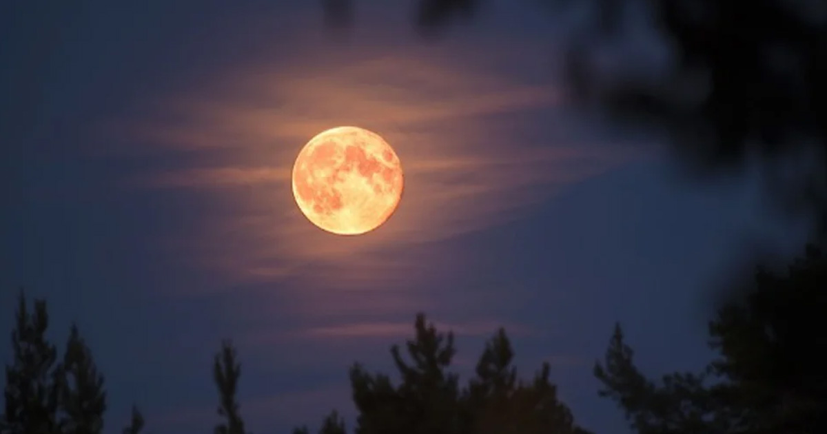 Luna Rosa en México: lo que debes saber