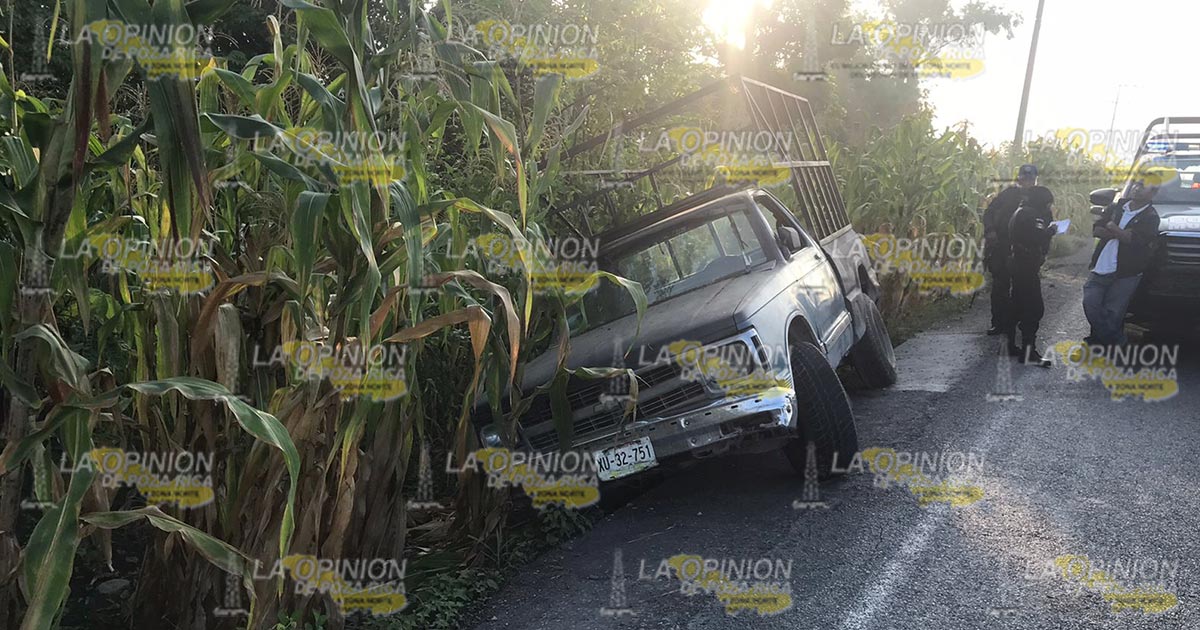 Pick-Up se sale de la carretera