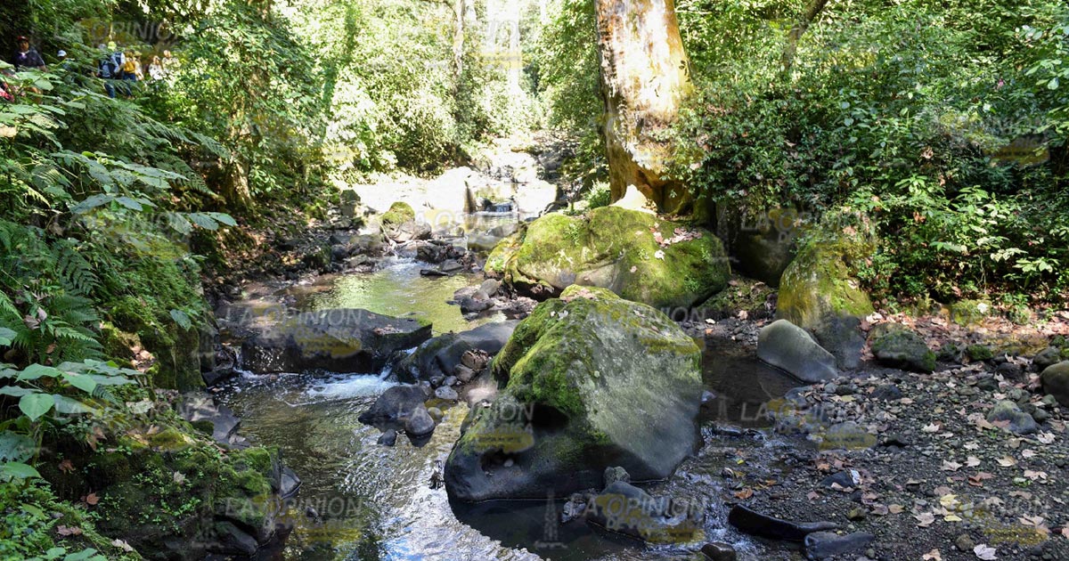 Ríos siguen bajos, alerta la Conagua Ríos siguen bajos, alerta la Conagua