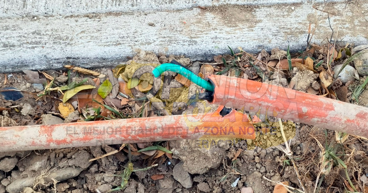 Sacrilegio en Semana Santa; saquean santuario