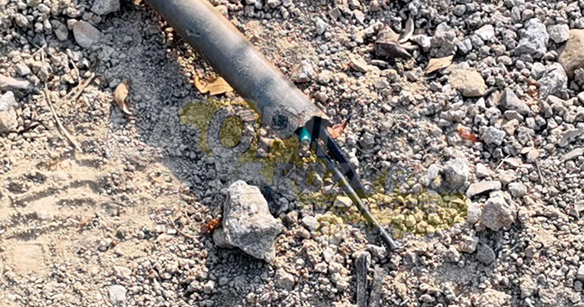 Sacrilegio en Semana Santa; saquean santuario