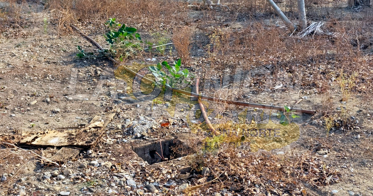 Sacrilegio en Semana Santa; saquean santuario