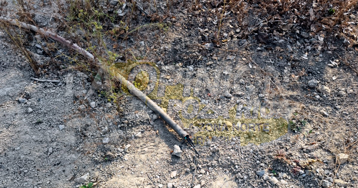 Sacrilegio en Semana Santa; saquean santuario