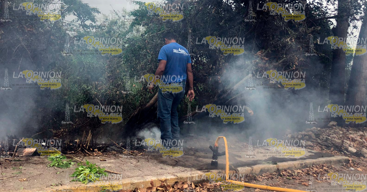 Se incendia pastizal en Coatzintla | Video
