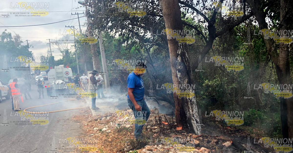 Se incendia pastizal en Coatzintla | Video