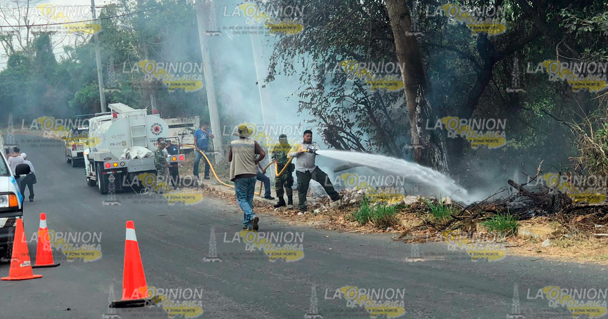 Se incendia pastizal en Coatzintla | Video