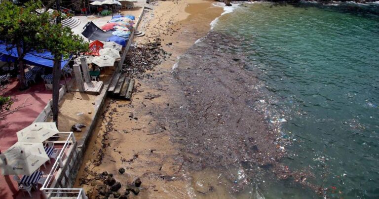 Semana Santa: Cofepris enlista las playas más contaminadas de México