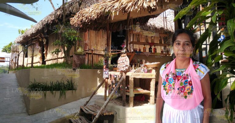 Vainillales y museo sufrieron daños por Grace