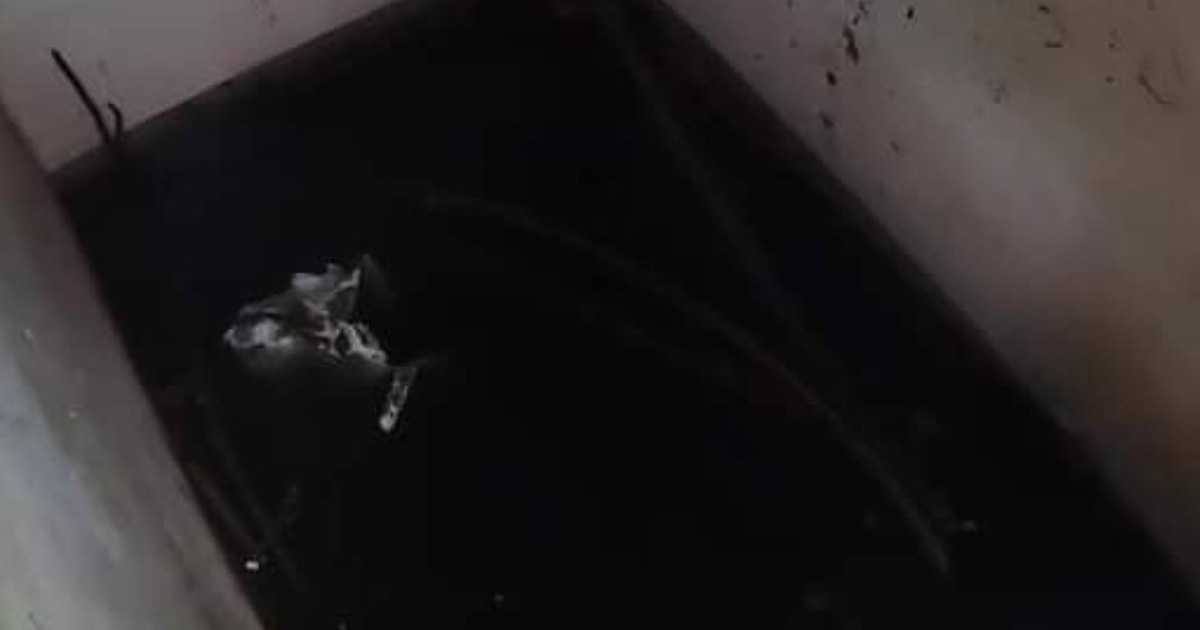 Mafian TV sale del país tras investigar caso de Debanhi Escobar