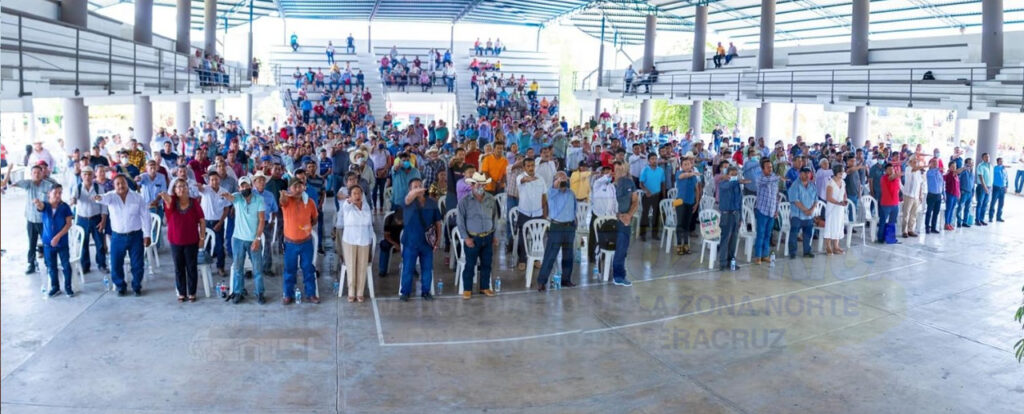 Agentes y subagentes desconocen la Ley municipal