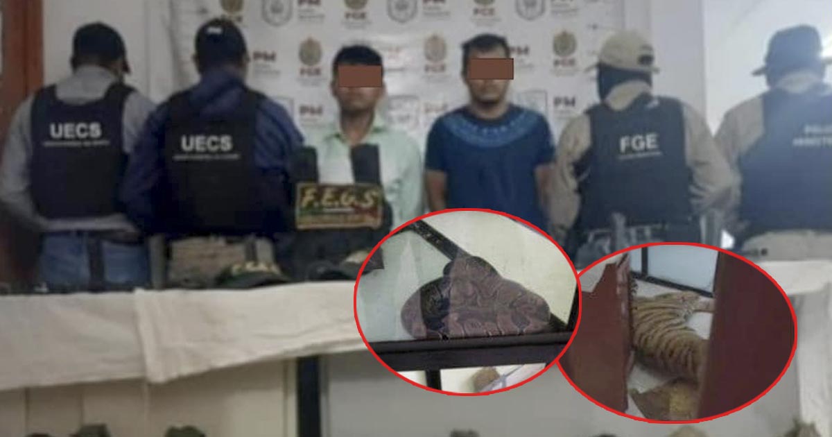 Cae célula delincuencial en Tuxpan