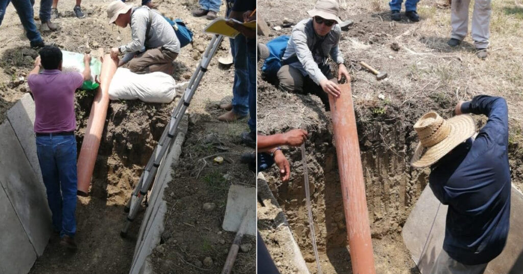 Citricultores locales buscan autosuficiencia en sus parcelas