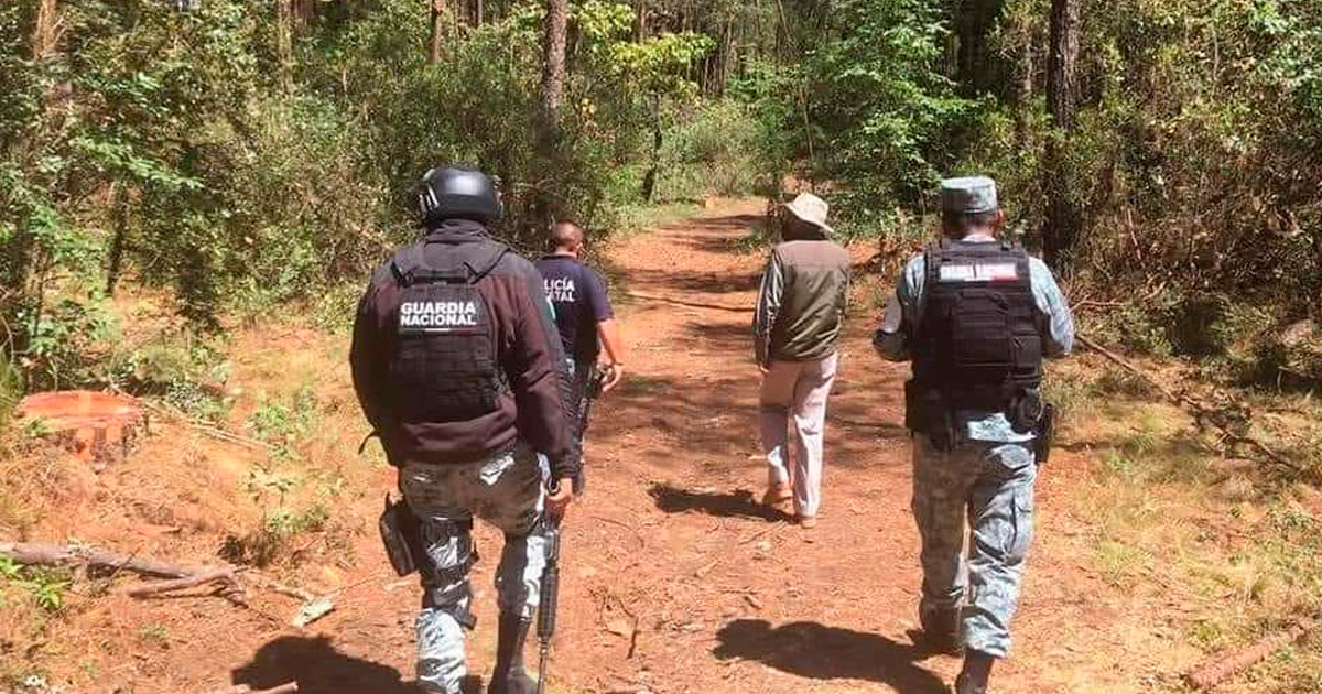 Clausuran aserraderos clandestinos en Acaxochitlán