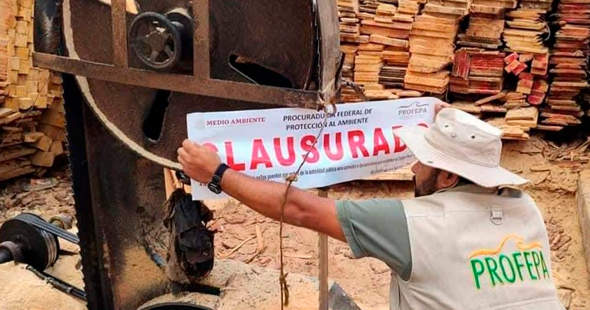 Clausuran aserraderos clandestinos en Acaxochitlán
