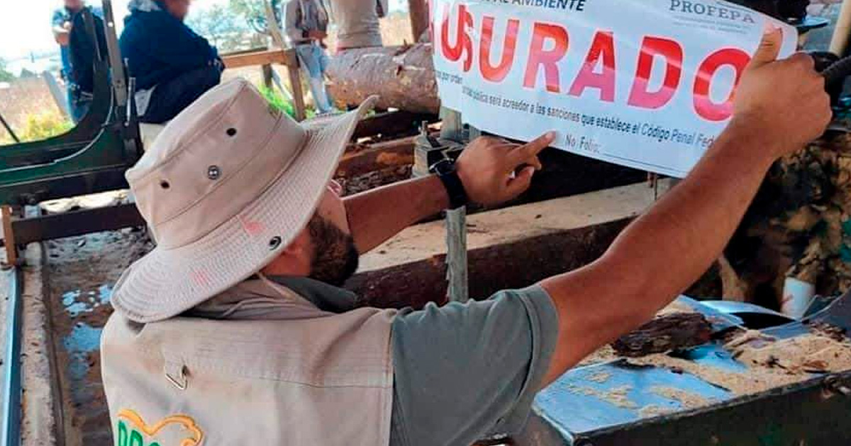Clausuran aserraderos clandestinos en Acaxochitlán