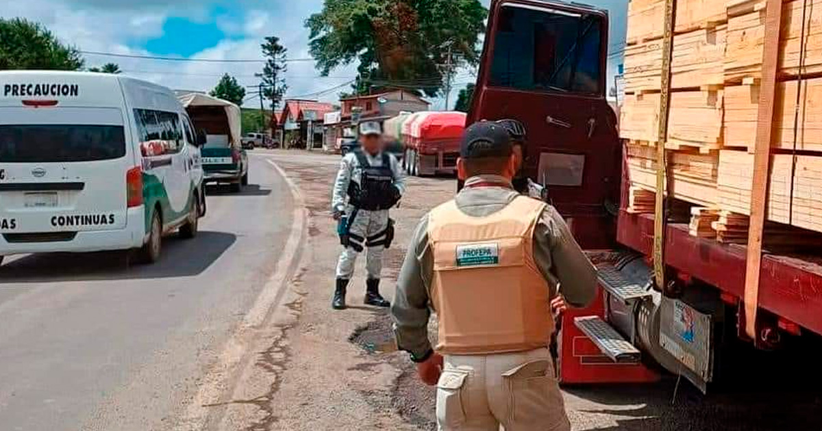 Clausuran aserraderos clandestinos en Acaxochitlán