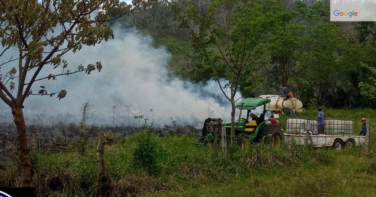 Incendio forestal en Rancho El 50