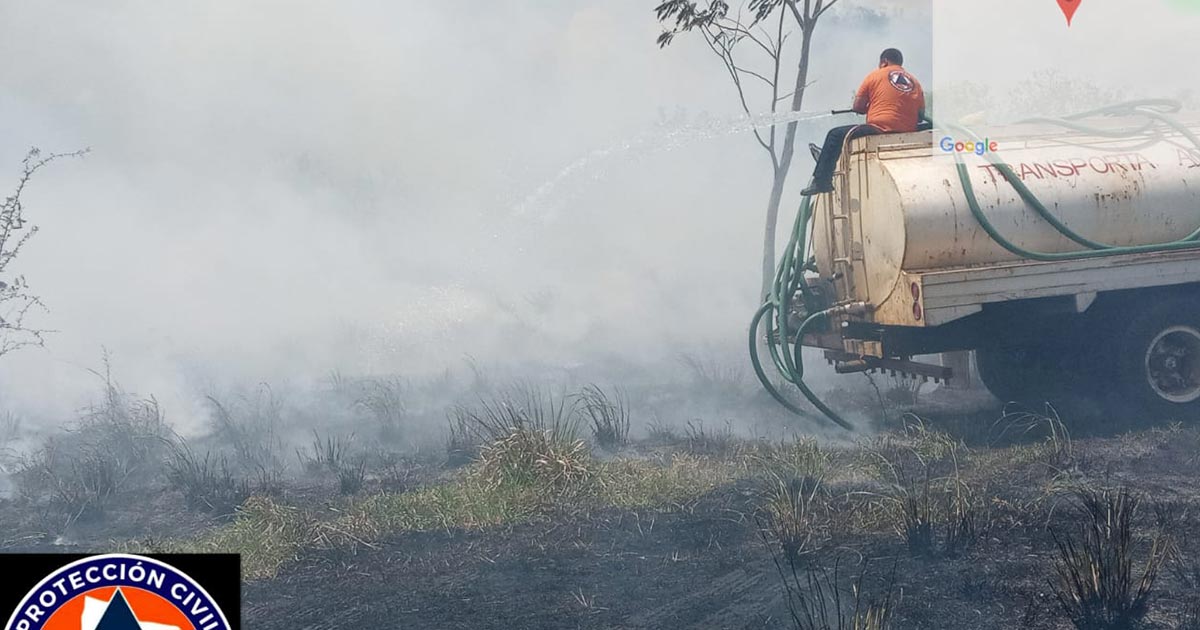 Incendio forestal en Rancho El 50