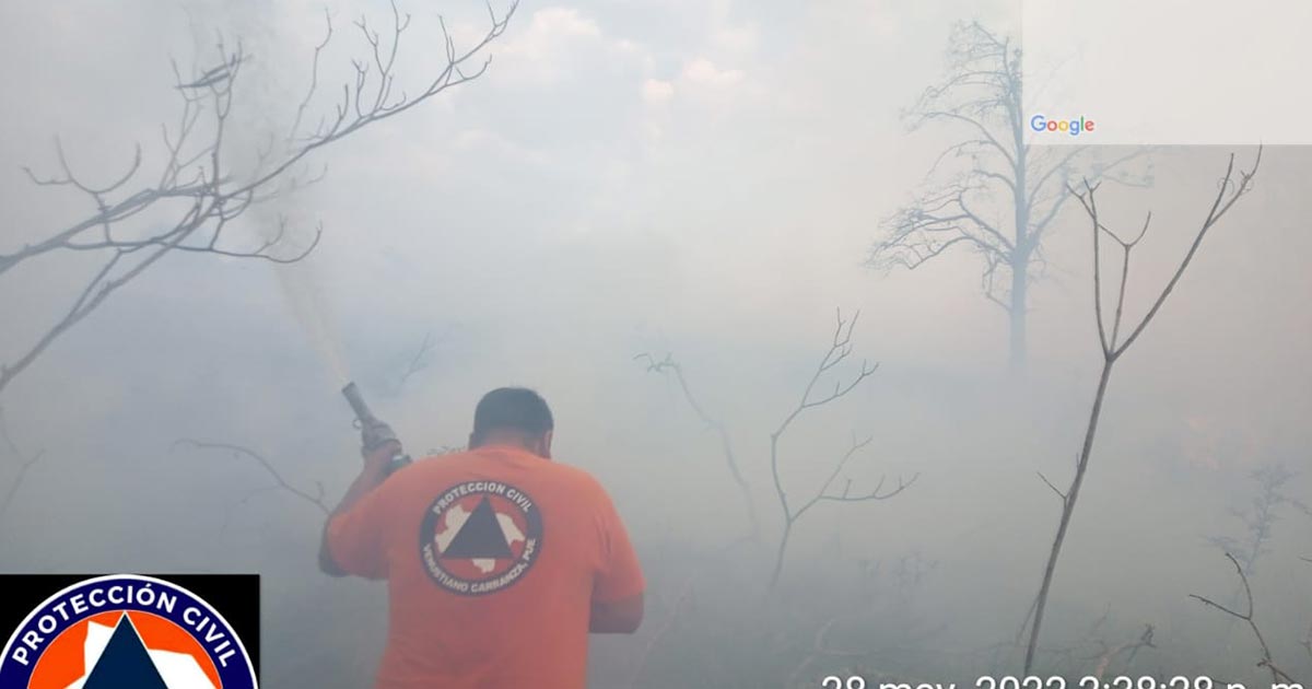 Incendio forestal en Rancho El 50 Incendio forestal en Rancho El 50 19