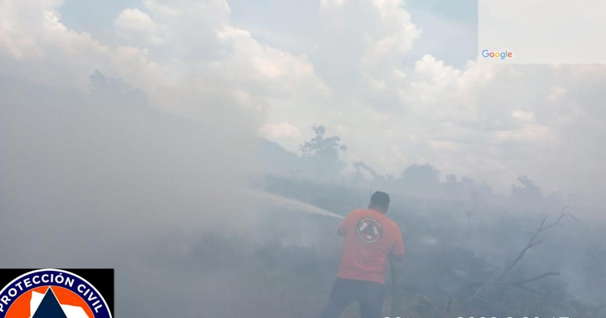 Incendio forestal en Rancho El 50 Incendio forestal en Rancho El 50 4