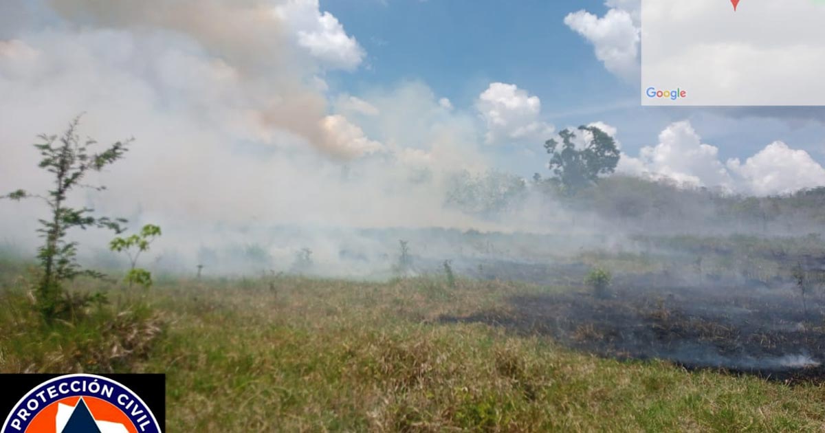 Incendio forestal en Rancho El 50 Incendio forestal en Rancho El 50 6