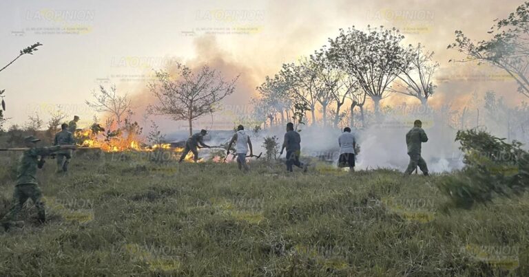 Incendios arrasan mil 800 hectáreas en Álamo