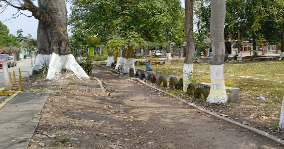 Exigen mayor seguridad en Flores Magón