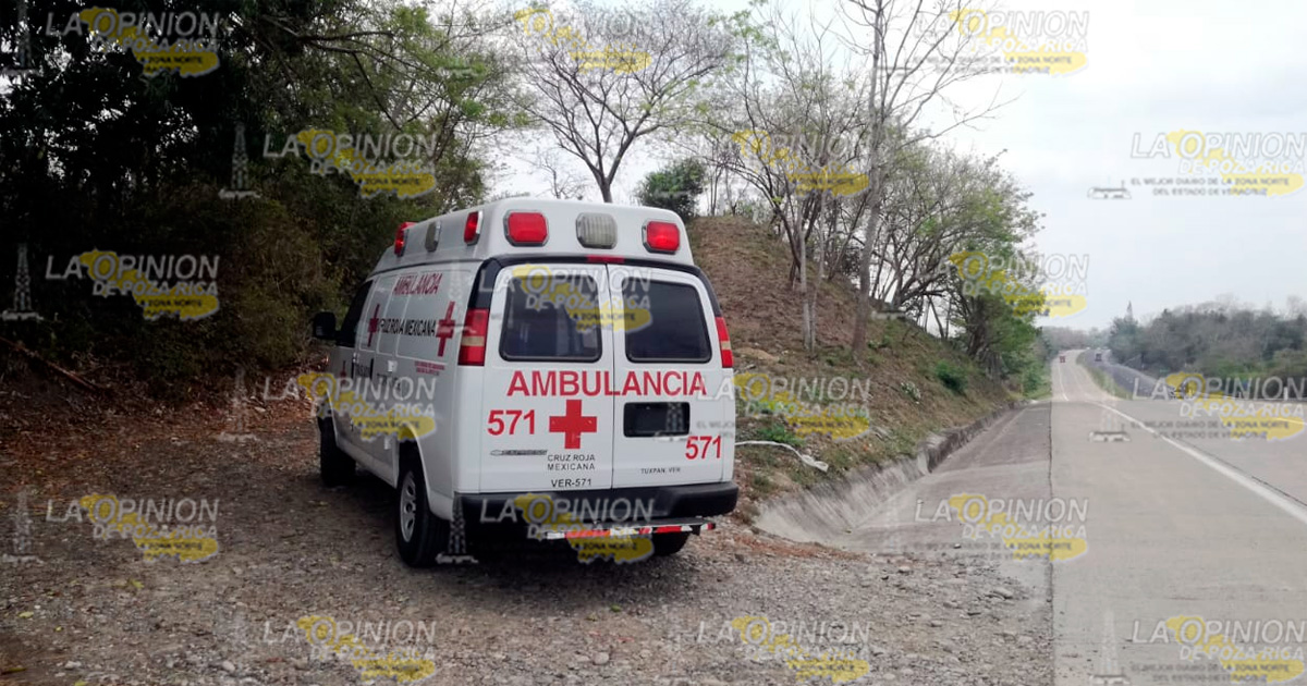 Muere tras ser golpeado por la rama de un árbol