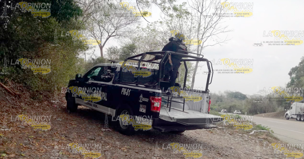 Muere tras ser golpeado por la rama de un árbol